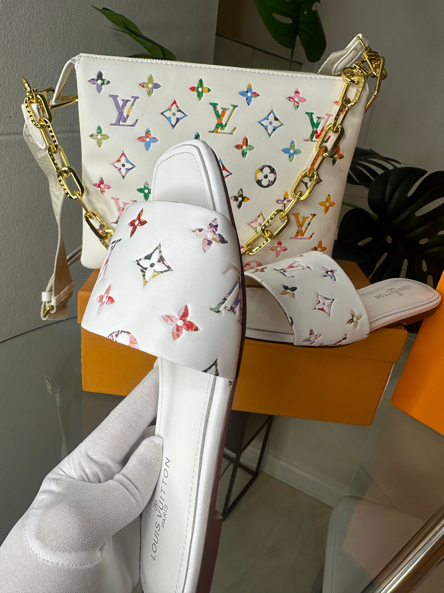 Ophelia Colorful Bag