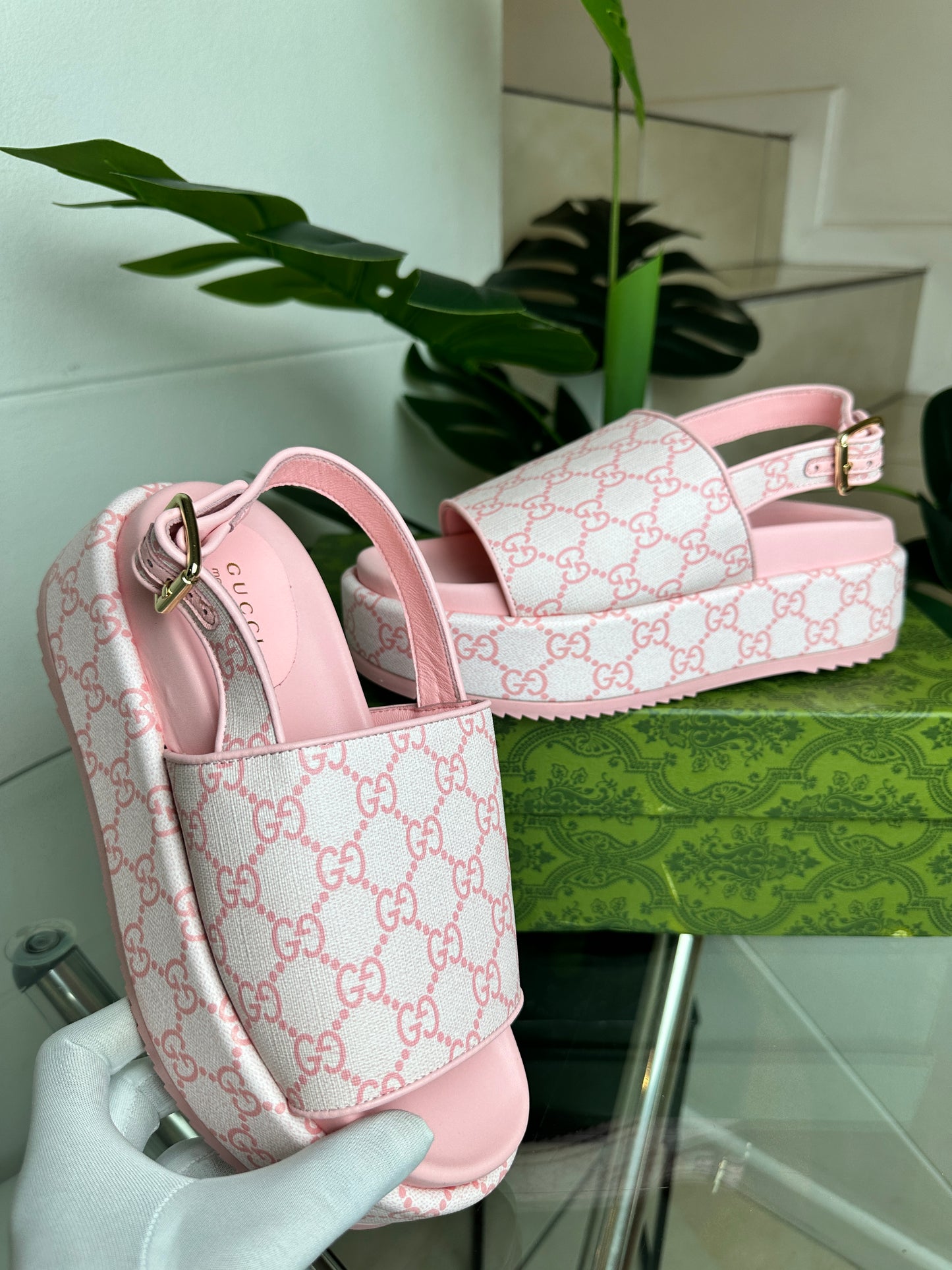 Jacaranda Platform Slides